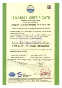 Topvisio ISO 14001 environmental management system certificate